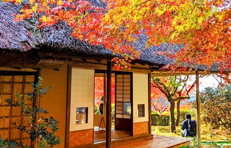 Kyushu Fukuoka & Saga Autumn Leaves One-Day Tour | Dazaifu Optional Kimono & Kyu-An & Night Maple - Key things to know before you book