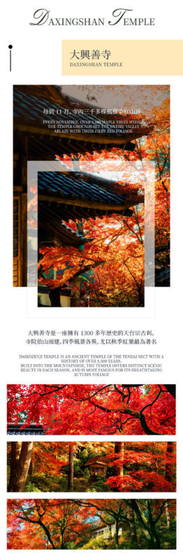 Kyushu Fukuoka & Saga Autumn Leaves One-Day Tour | Dazaifu Optional Kimono & Kyu-An & Night Maple - Daikouzenji Temple: maples on the mountainside
