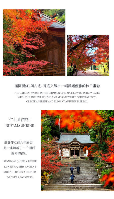 Kyushu Fukuoka & Saga Autumn Leaves One-Day Tour | Dazaifu Optional Kimono & Kyu-An & Night Maple - Environmental Art Forest: a walk among trees and water