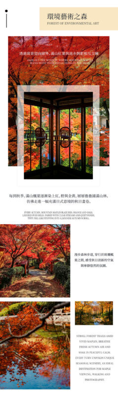 Kyushu Fukuoka & Saga Autumn Leaves One-Day Tour | Dazaifu Optional Kimono & Kyu-An & Night Maple - Kamado Shrine after sunset