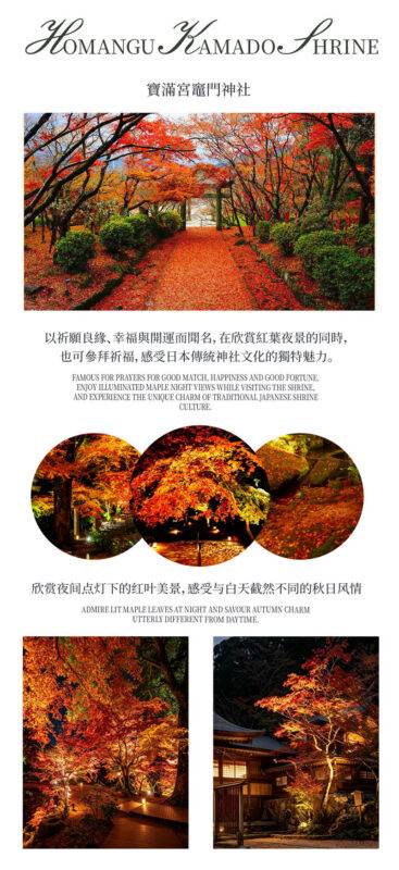 Kyushu Fukuoka & Saga Autumn Leaves One-Day Tour | Dazaifu Optional Kimono & Kyu-An & Night Maple - What the price covers, and what it does not