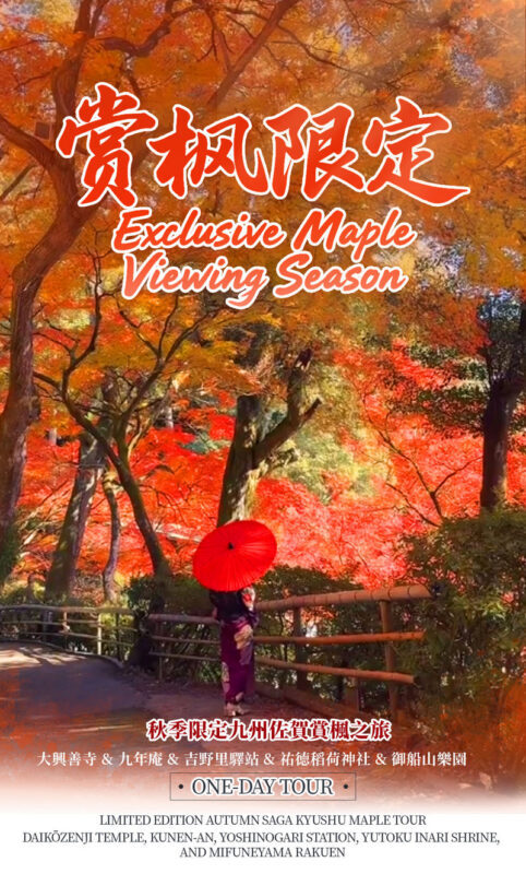 Kyushu Fukuoka & Saga Autumn Leaves One-Day Tour | Dazaifu Optional Kimono & Kyu-An & Night Maple - Who should book this day trip?