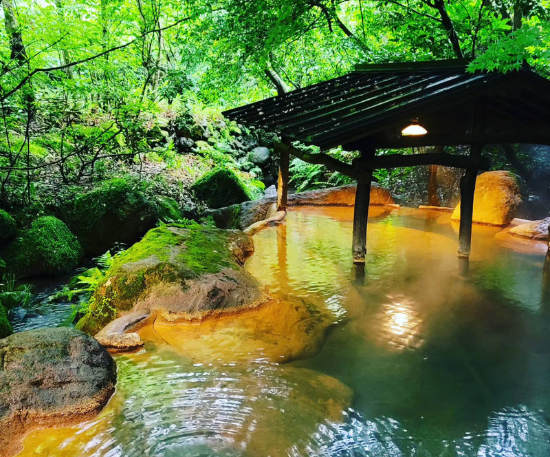 Kyushu Hiking Tour | Kamishikimi Kumanoimasu Shrine & Mount Aso Kusasenri & Kurokawa Onsen & Free Crater Shuttle Bus (Departing from Kumamoto/Fukuoka) - A full Kyushu day, with little time wasted on transport