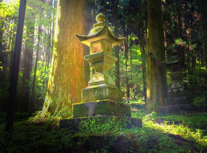 Kyushu Hiking Tour | Kamishikimi Kumanoimasu Shrine & Mount Aso Kusasenri & Kurokawa Onsen & Free Crater Shuttle Bus (Departing from Kumamoto/Fukuoka) - Is $44.20 good value?