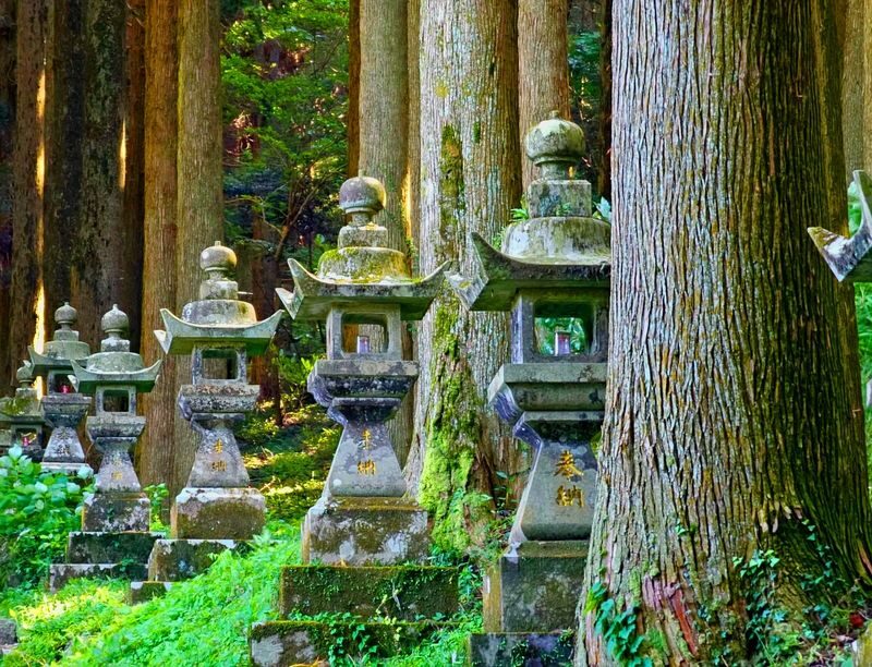 Kyushu Hiking Tour | Kamishikimi Kumanoimasu Shrine & Mount Aso Kusasenri & Kurokawa Onsen & Free Crater Shuttle Bus (Departing from Kumamoto/Fukuoka) - Practical details before you book