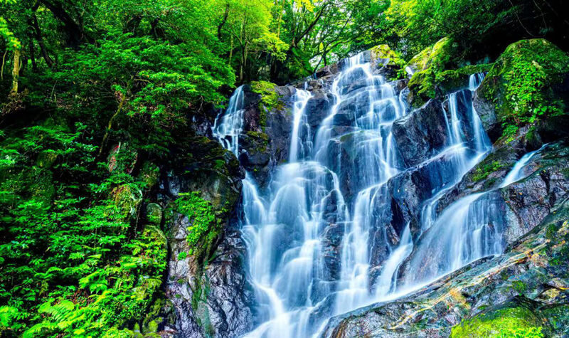 Kyushu Itoshima Coast Sightseeing & Shiraito Falls & Yanagawa River Cruise & Dazaifu Tenmangu Shrine Classic Dual Route Day Tour - Yanagawa’s canals are the day’s slow-down