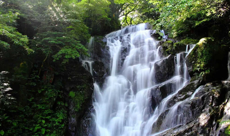 Kyushu Itoshima Coast Sightseeing & Shiraito Falls & Yanagawa River Cruise & Dazaifu Tenmangu Shrine Classic Dual Route Day Tour - Dazaifu Tenmangu closes the route