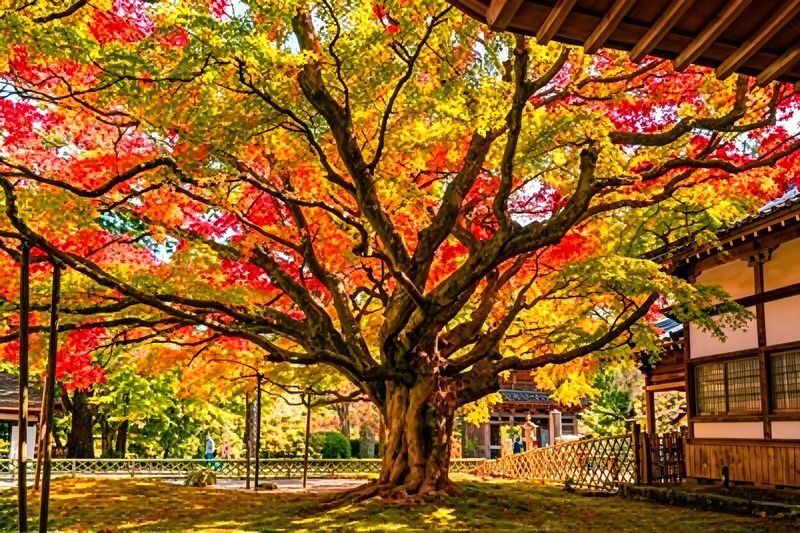 Kyushu Itoshima Coast & Yanagawa River Cruise & Dazaifu Tenmangu Shrine Day Trip (Departing from Fukuoka) - Oyster huts and a flexible lunch stop