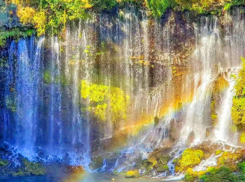 Kyushu Itoshima Popular Route: Itoshima Meoto Iwa & Angel Wing & Ichiran Ramen & Shiraito Falls & Dazaifu & Yanagawa River Cruise 1-Day Tour - Oyster huts and a practical lunch plan