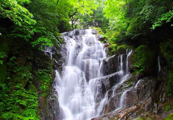 Kyushu Itoshima Popular Route: Itoshima Meoto Iwa & Angel Wing & Ichiran Ramen & Shiraito Falls & Dazaifu & Yanagawa River Cruise 1-Day Tour - Itoshima’s Coconut Tree Swing and Meoto Iwa