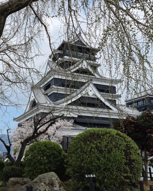 Kyushu [Kumamoto Chartered Car Day Trip] (Green Plate 5-seater/10-seater optional, port/airport/hotel transfer, Japanese-speaking driver customization) - At a glance