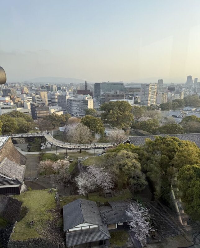 Kyushu [Kumamoto Chartered Car Day Trip] (Green Plate 5-seater/10-seater optional, port/airport/hotel transfer, Japanese-speaking driver customization) - Choose one Kumamoto day, not an overloaded checklist