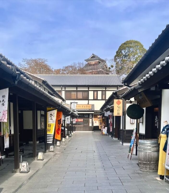 Kyushu [Kumamoto Chartered Car Day Trip] (Green Plate 5-seater/10-seater optional, port/airport/hotel transfer, Japanese-speaking driver customization) - The driver’s help is practical, especially on a custom day