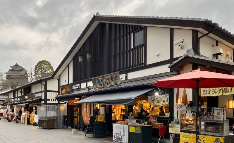 Kyushu [Kumamoto Chartered Car Day Trip] (Green Plate 5-seater/10-seater optional, port/airport/hotel transfer, Japanese-speaking driver customization) - Pick the car for comfort, bags, and shared cost