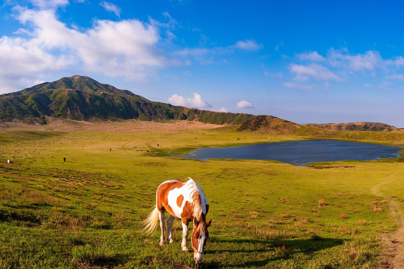 Kyushu Miyazaki | Day Tour with Optional Lunch & Boat Ride: Takachiho Gorge & Mount Aso | Kamishikimi Kumanoimasu Shrine & Amanoyasu-gawara Full-Day Romantic Tour - Takachiho Gorge: cliffs, bridges and Manai Falls