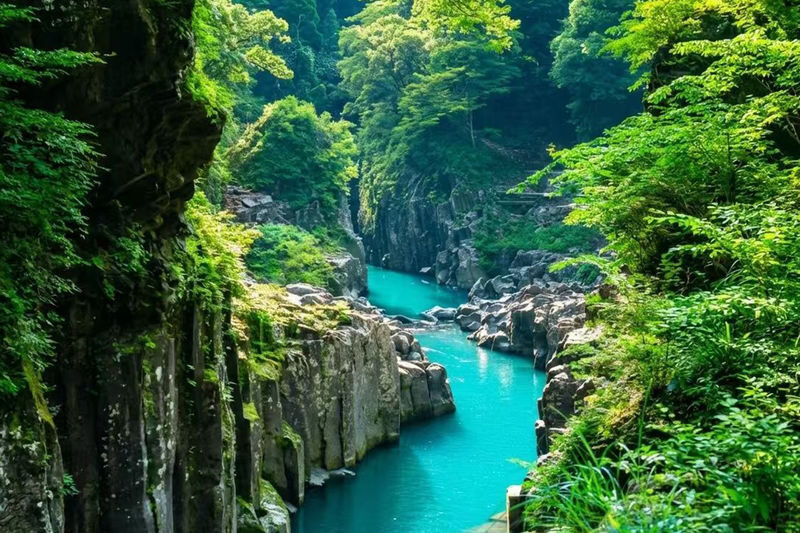 Kyushu Miyazaki | Day Tour with Optional Lunch & Boat Ride: Takachiho Gorge & Mount Aso | Kamishikimi Kumanoimasu Shrine & Amanoyasu-gawara Full-Day Romantic Tour - Who should book this day tour?