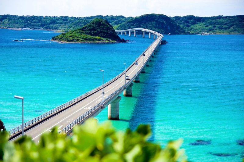 Kyushu: Mojiko & Karato Market & Tsunoshima Bridge & Motonosumi Shrine Day Trip (From Fukuoka) - At a glance