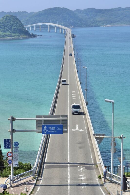 Kyushu: Mojiko & Karato Market & Tsunoshima Bridge & Motonosumi Shrine Day Trip (From Fukuoka) - Who should book this day trip?