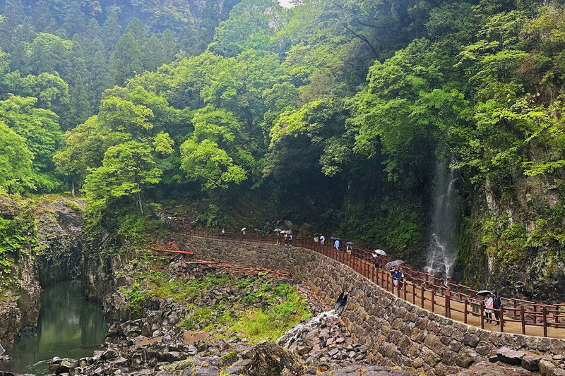 Kyushu: Mount Aso Crater, Kamishikimi Kumanoza Shrine & Takachiho Gorge Day Tour (Departing from Fukuoka) - Who should book this day trip?