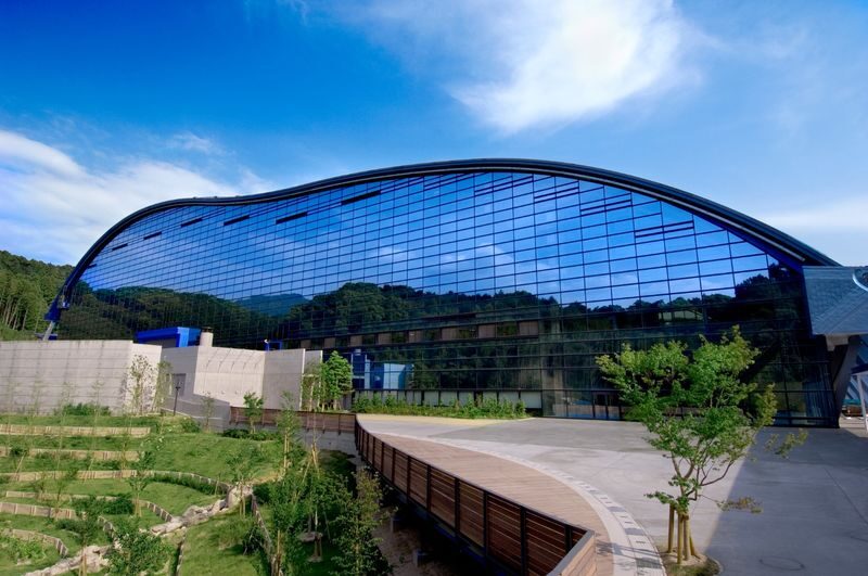 Kyushu National Museum Admission in Fukuoka - What the ticket costs, and what it covers