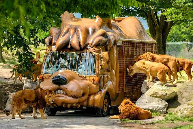 Kyushu Natural Animal Park African Safari Day Tour - A Closer Look at the Kyushu Natural Animal Park African Safari Day Tour