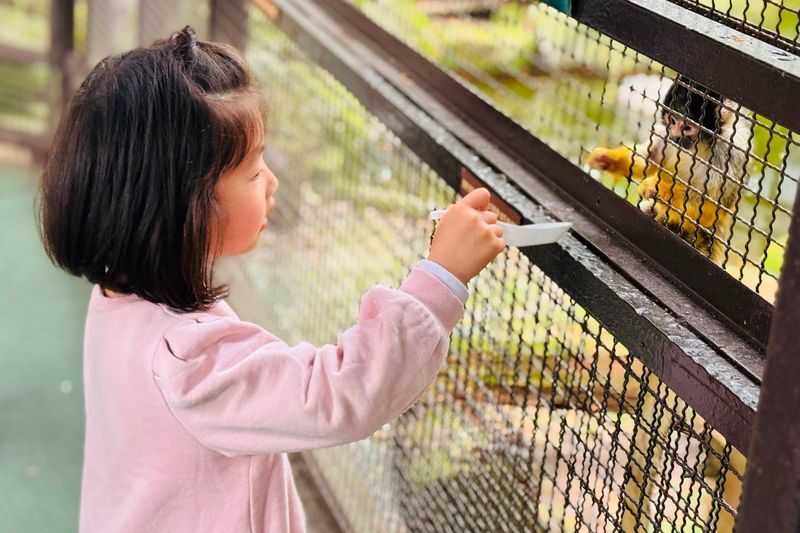 Kyushu Natural Zoological Park and Yufuin Full-Day Wildlife Tour - What the schedule and group format mean in practice
