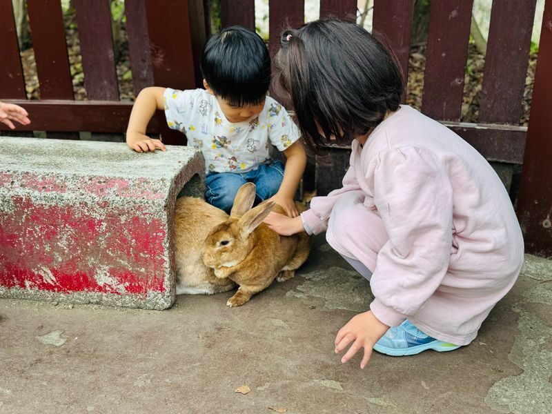 Kyushu Natural Zoological Park and Yufuin Full-Day Wildlife Tour - Who will get the most from this trip