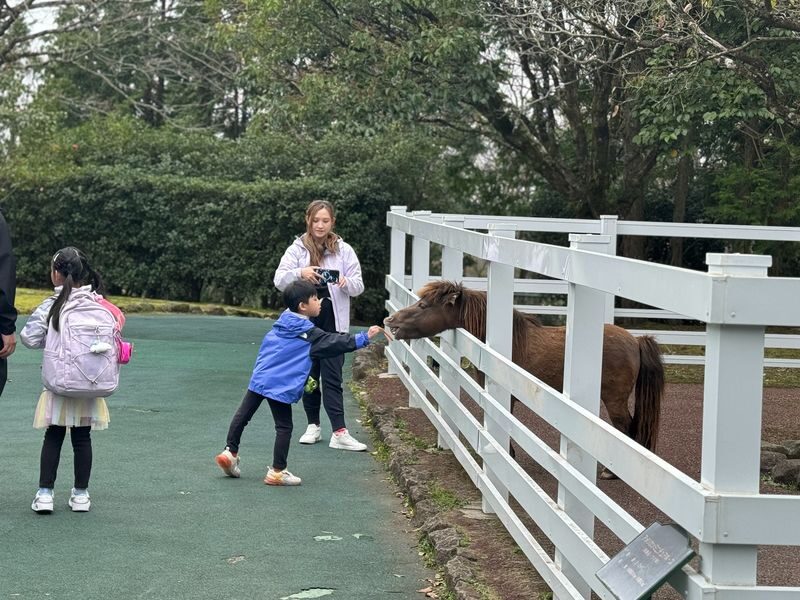 Kyushu Natural Zoological Park and Yufuin Full-Day Wildlife Tour - Should you book this Kyushu day tour?