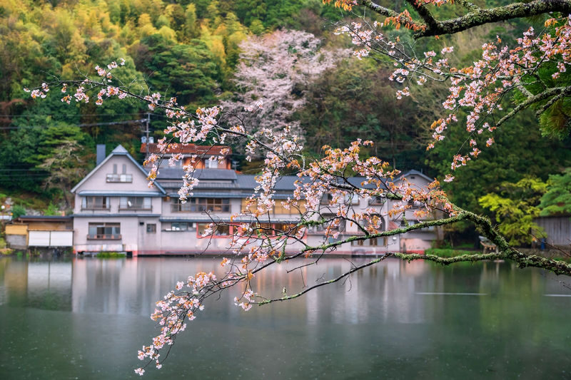 Kyushu: Nyoirin-ji Temple & Kinrinko Lake Water Torii & Yufuin & Beppu Hells Tour Day Trip - Yufuin: time to wander, with choices to make