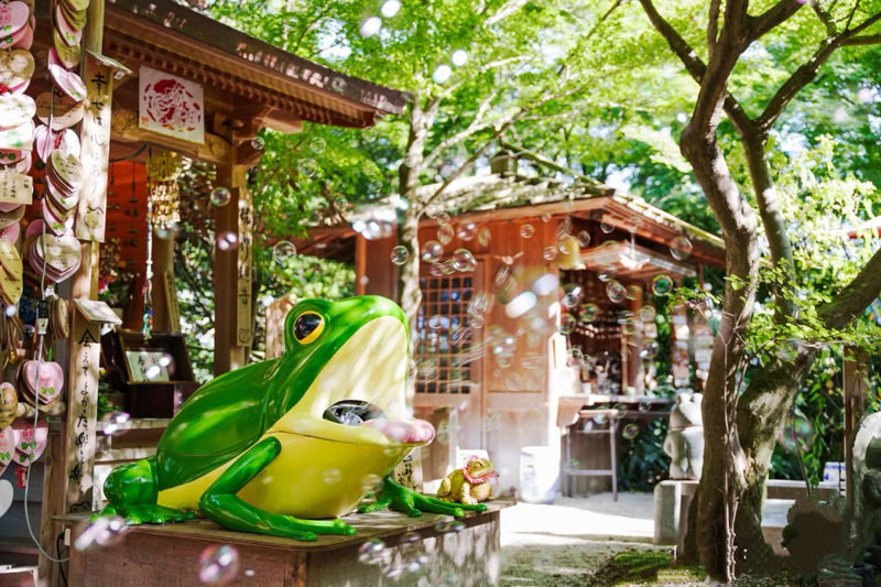 Kyushu: Nyoirin-ji Temple & Kinrinko Lake Water Torii & Yufuin & Beppu Hells Tour Day Trip - What the Fukuoka-to-Kyushu schedule really means