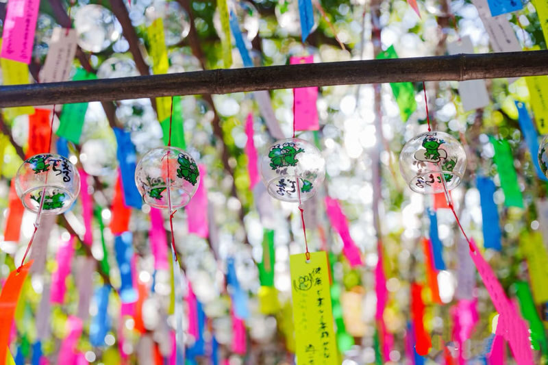 Kyushu: Nyoirin-ji Temple & Kinrinko Lake Water Torii & Yufuin & Beppu Hells Tour Day Trip - Does the price make sense?