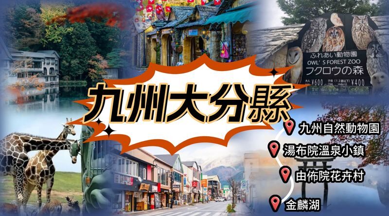 Kyushu | Oita Kyushu Natural Animal Park/Beppu Sea Hell Hot Spring/Yufuin/Kinrin Lake Customized Chartered Day Tour - A private car makes Oita possible from Fukuoka