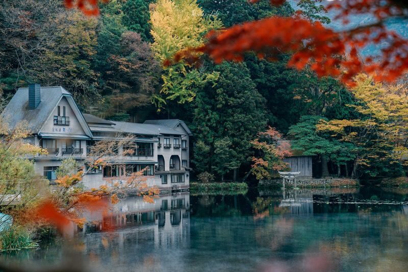 Kyushu | Oita Kyushu Natural Animal Park/Beppu Sea Hell Hot Spring/Yufuin/Kinrin Lake Customized Chartered Day Tour - Start early for Kyushu Natural Animal Park