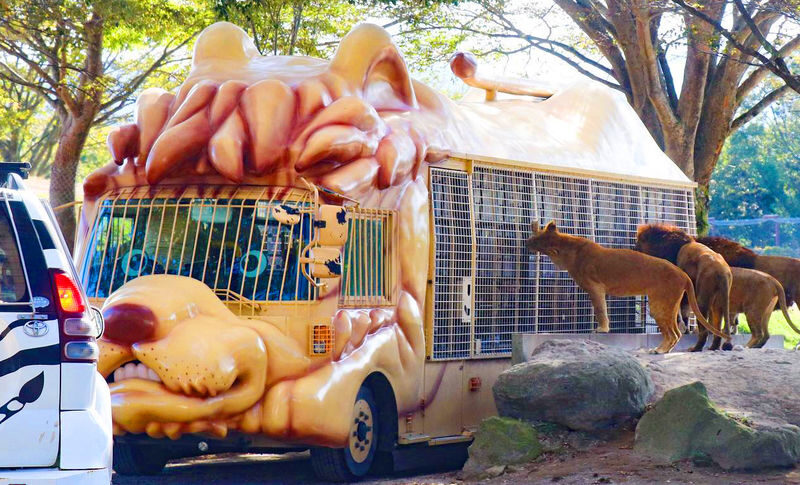 Kyushu Oita | Kyushu Natural Animal Park & Mt. Yufu & Yufuin & Kinrin Lake & Umi Jigoku (Ocean Hell) Day Trip (From Fukuoka) - Price, extra costs and the real value