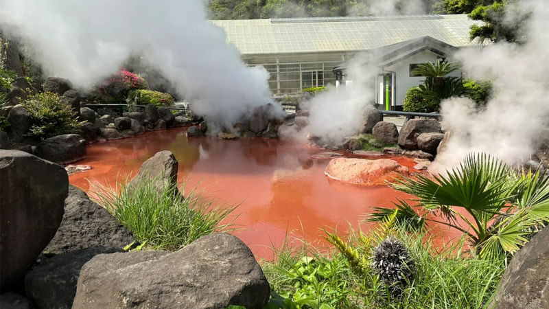 Kyushu Oita | Kyushu Natural Animal Park & Mt. Yufu & Yufuin & Kinrin Lake & Umi Jigoku (Ocean Hell) Day Trip (From Fukuoka) - Who should book this Oita day trip?
