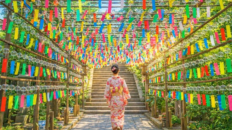 Kyushu One-Day Tour: Yufuin no Mori Train & Yufuin Town & Nyoirin-ji Temple & Dazaifu & Hell Hot Springs (Departing from Fukuoka) - Beppu’s hells make geothermal activity easy to see