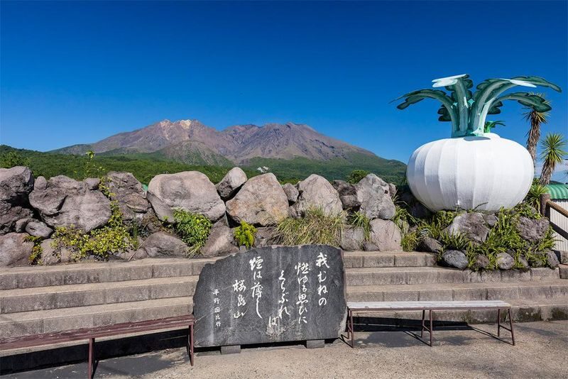 Kyushu Pier Charter: Kagoshima/Miyazaki Pier Private Charter Day Tour | Customizable Itinerary - What the driver does, and what you do yourself
