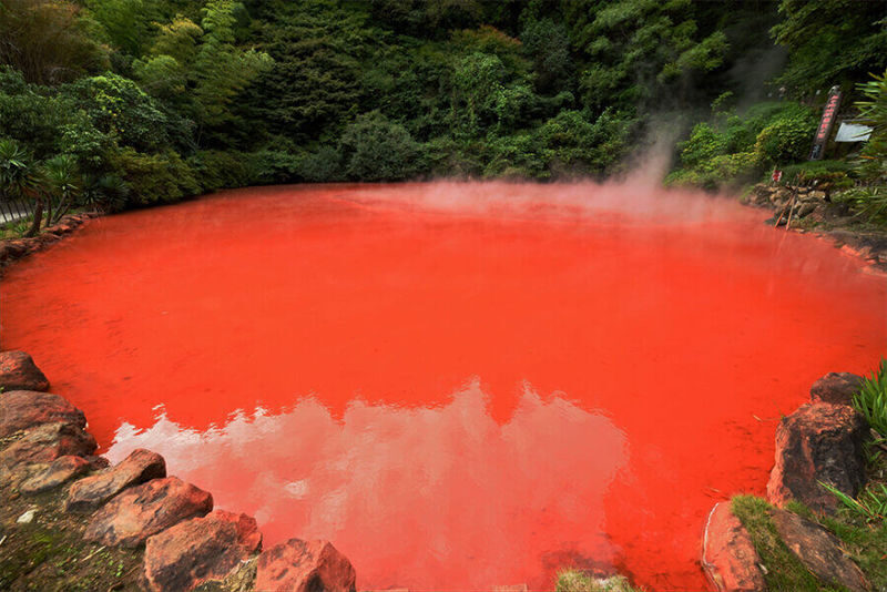 Kyushu Private Charter: Fukuoka, Yufuin, Beppu, Kumamoto, Aso, Takachiho, etc. (Customized itinerary available) - Yufuin, Beppu, Aso, and Takachiho are different days