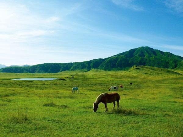 Kyushu Private Charter: Fukuoka, Yufuin, Beppu, Kumamoto, Aso, Takachiho, etc. (Customized itinerary available) - Price, extra charges, and the real value