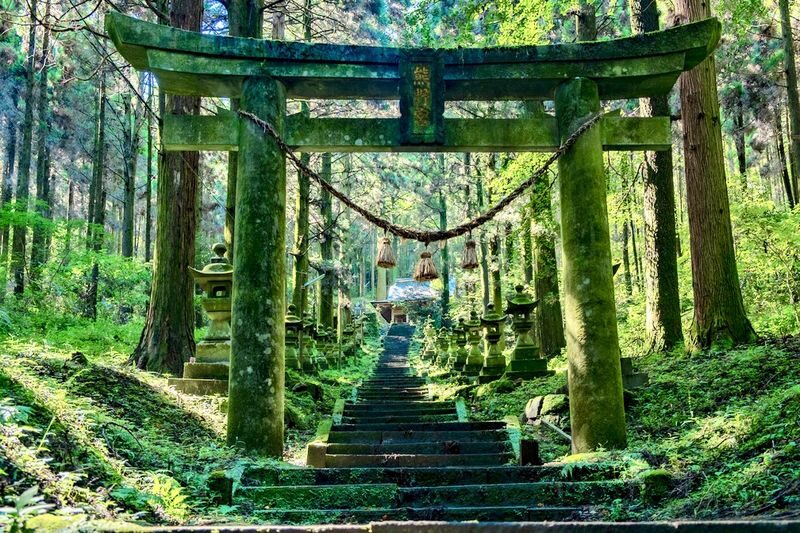Kyushu Private Charter: Fukuoka, Yufuin, Beppu, Kumamoto, Aso, Takachiho, etc. (Customized itinerary available) - Choose a vehicle that fits people and bags