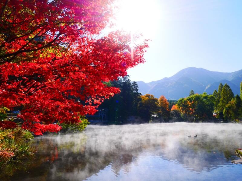 Kyushu Private Charter: Fukuoka, Yufuin, Beppu, Kumamoto, Aso, Takachiho, etc. (Customized itinerary available) - Weather can change the day, especially at Aso