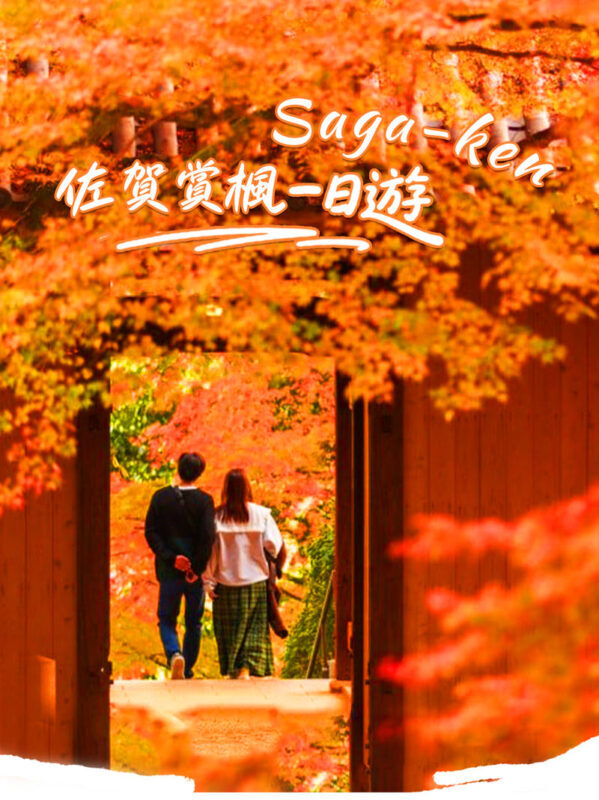 Kyushu/Saga Autumn Foliage Tour | Dazaifu Tenmangu Shrine (Optional Kimono Experience)-Daikozenji Temple-Kunenan-Homangu Kamado Shrine Illumination - A full autumn day from Fukuoka
