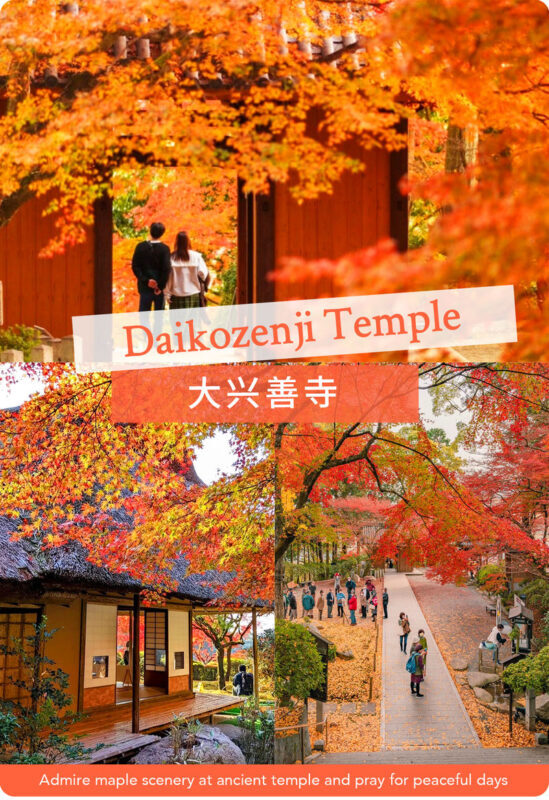 Kyushu/Saga Autumn Foliage Tour | Dazaifu Tenmangu Shrine (Optional Kimono Experience)-Daikozenji Temple-Kunenan-Homangu Kamado Shrine Illumination - Kamado Shrine after dark