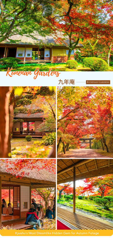 Kyushu/Saga Autumn Foliage Tour | Dazaifu Tenmangu Shrine (Optional Kimono Experience)-Daikozenji Temple-Kunenan-Homangu Kamado Shrine Illumination - What the price covers, and what it does not