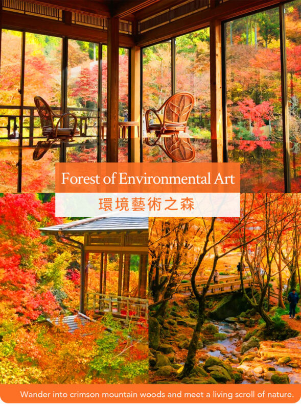 Kyushu/Saga Autumn Foliage Tour | Dazaifu Tenmangu Shrine (Optional Kimono Experience)-Daikozenji Temple-Kunenan-Homangu Kamado Shrine Illumination - Pace, comfort and practical details