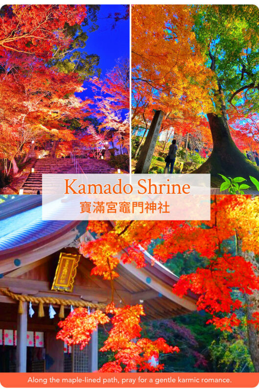 Kyushu/Saga Autumn Foliage Tour | Dazaifu Tenmangu Shrine (Optional Kimono Experience)-Daikozenji Temple-Kunenan-Homangu Kamado Shrine Illumination - Is this the right autumn tour for you?
