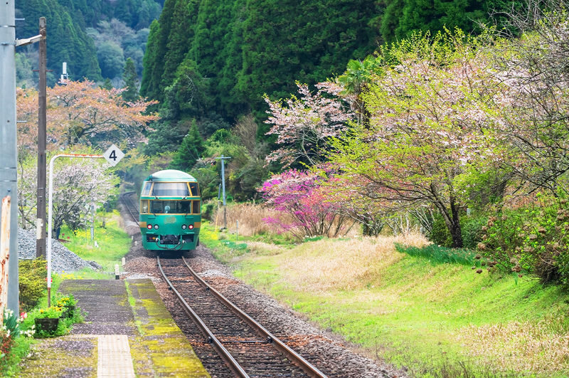 Kyushu Scenic Tour: Yufuin & Hita & Frog Temple Day Trip from Fukuoka - Guides and group pace