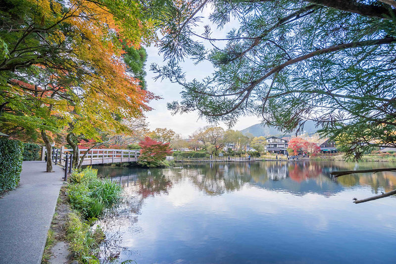 Kyushu Scenic Tour: Yufuin & Hita & Frog Temple Day Trip from Fukuoka - Is $44.19 good value?