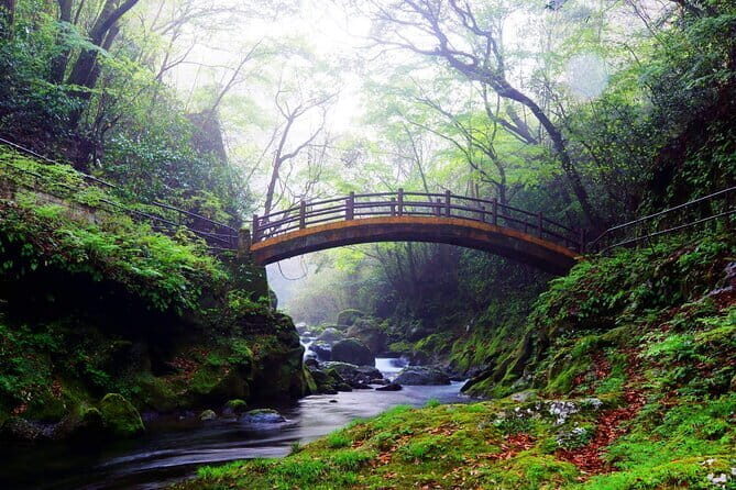 Kyushu Tour of Shrines Sakura Gorges and Landmarks from Fukuoka - FAQ