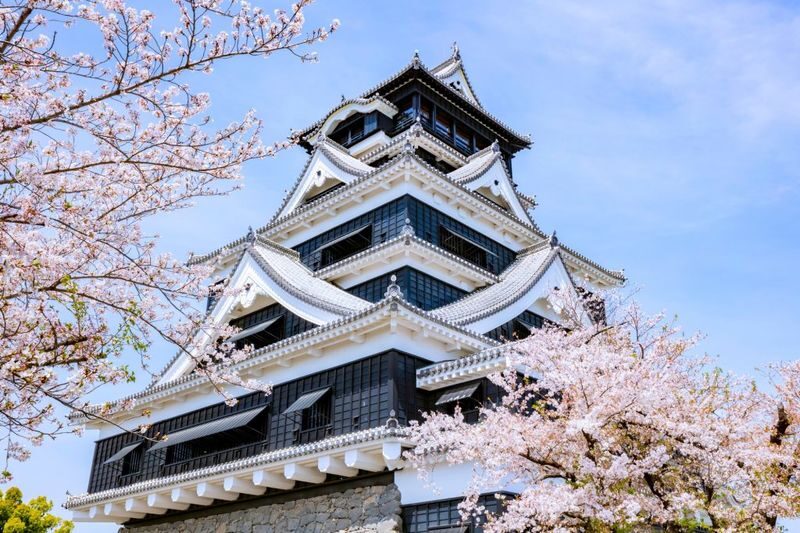 Kyushu Wharf Private Car Charter: Fukuoka/Nagasaki/Sasebo/Kumamoto Wharf Private Car Charter One-Day Tour | Customizable Itinerary - Five hours or seven: make the clock work for you